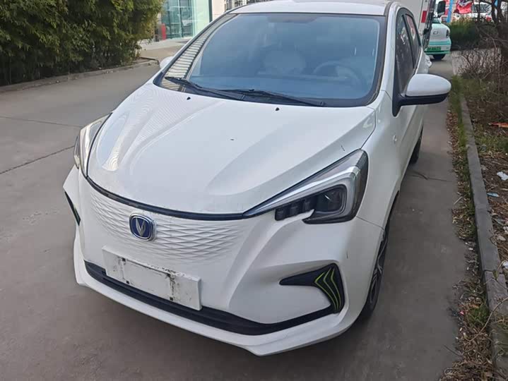 Фото 2 - Changan BenBen E-Star