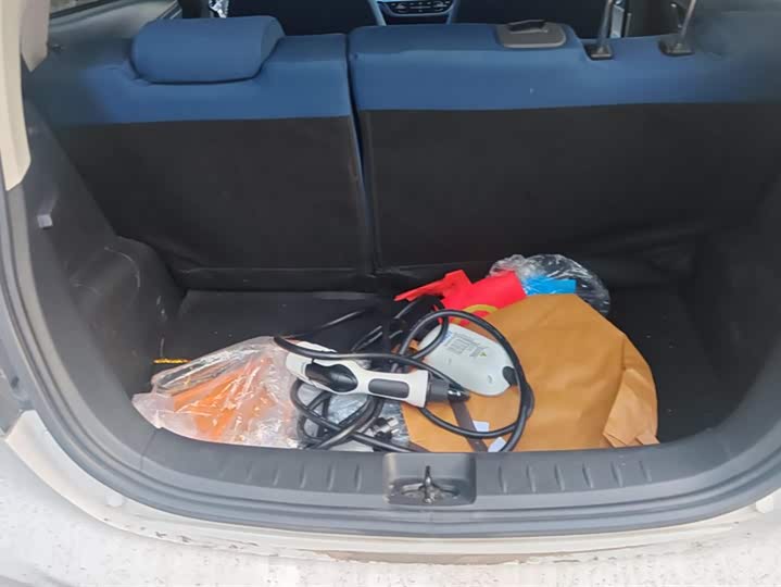 Фото 4 - Changan BenBen E-Star