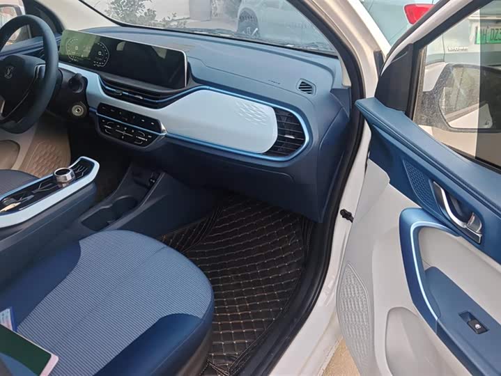 Фото 8 - Changan BenBen E-Star