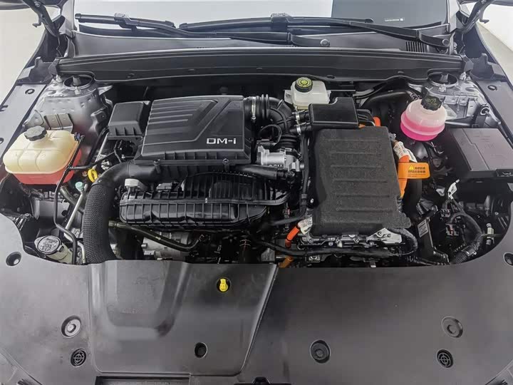 Фото 6 - BYD Destroyer 05