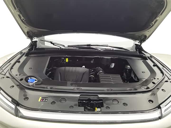 Фото 6 - Wey Mocca Hybrid