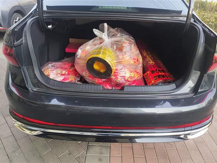 Фото 4 - Volkswagen Sagitar L