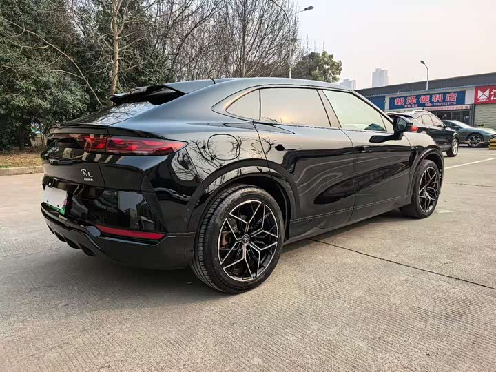 Фото 4 - BYD Song L