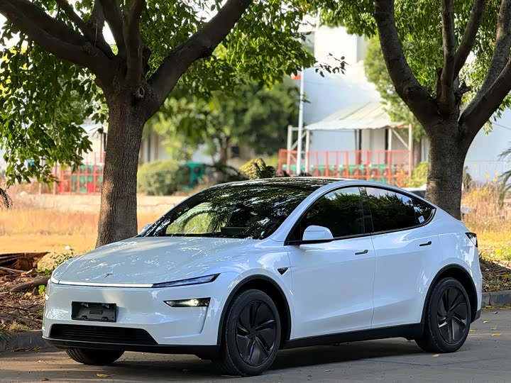 Фото 1 - Tesla Model Y