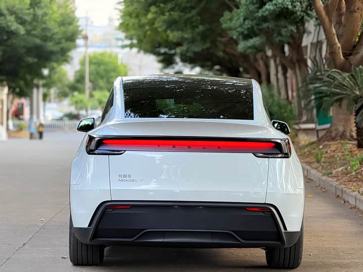 Фото 5 - Tesla Model Y