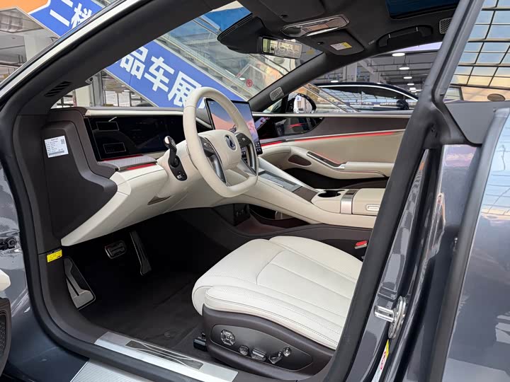 Фото 6 - Denza Z9