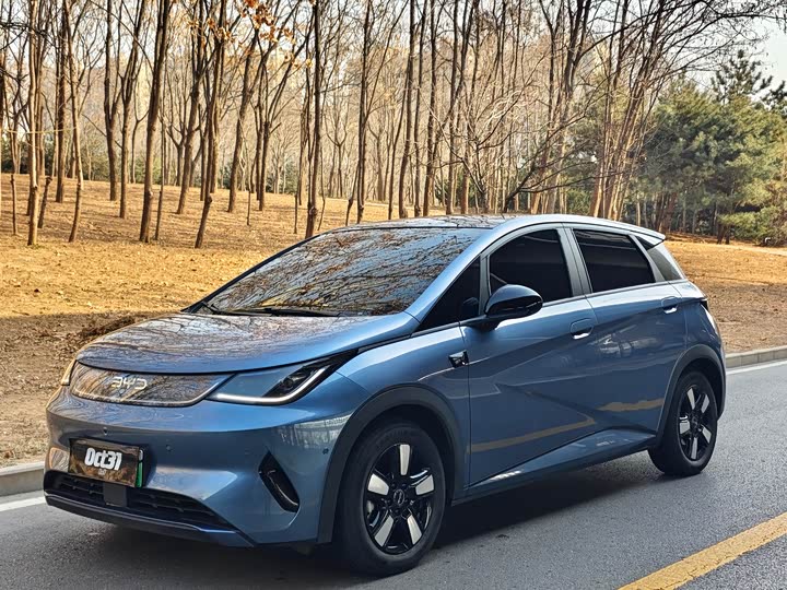 Фото 1 - BYD Dolphin