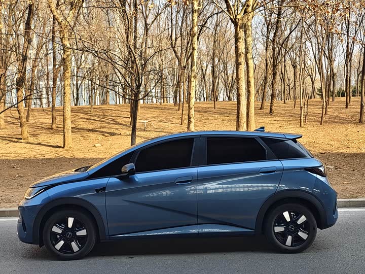 Фото 3 - BYD Dolphin