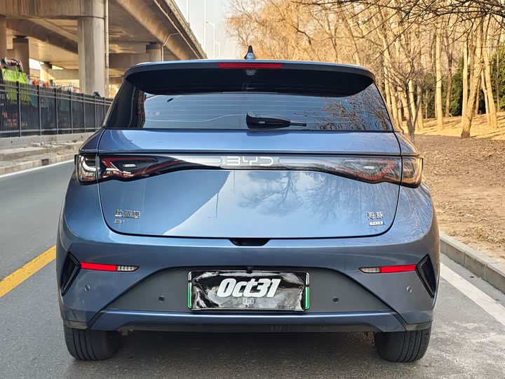 Фото 4 - BYD Dolphin