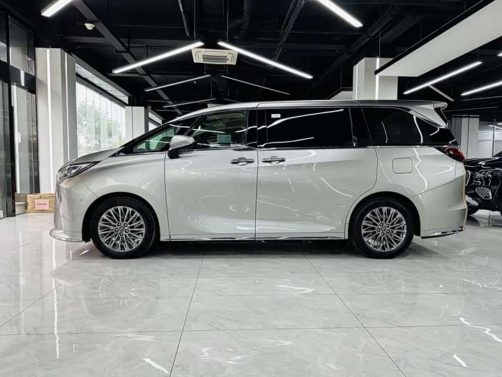 Фото 6 - Lexus LM