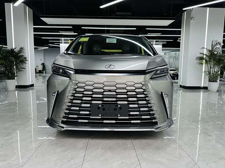 Фото 9 - Lexus LM