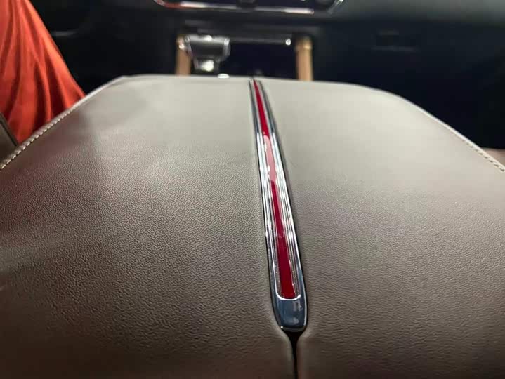 Фото 12 - Hongqi LS7 (Guoyao)