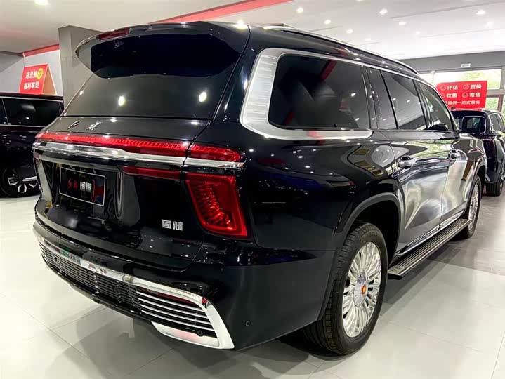 Фото 17 - Hongqi LS7 (Guoyao)