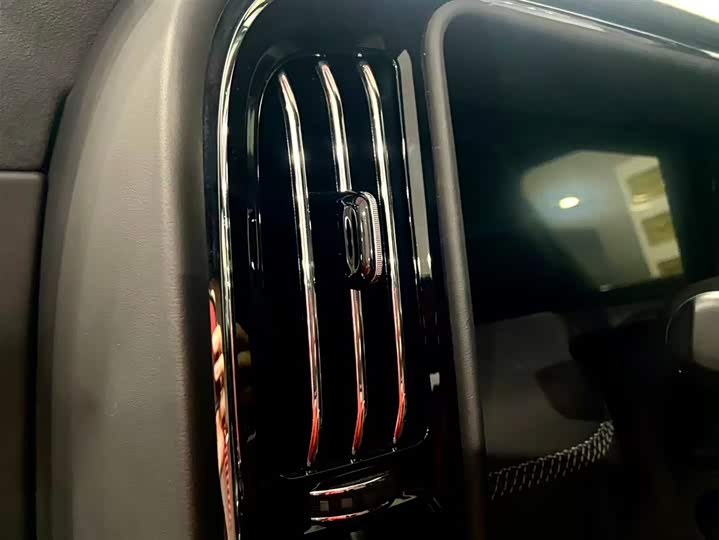 Фото 7 - Hongqi LS7 (Guoyao)