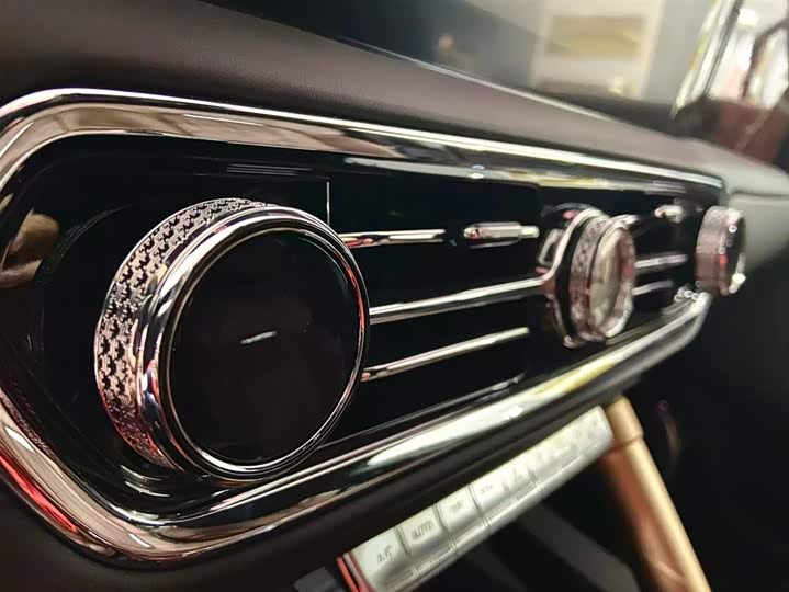 Фото 9 - Hongqi LS7 (Guoyao)