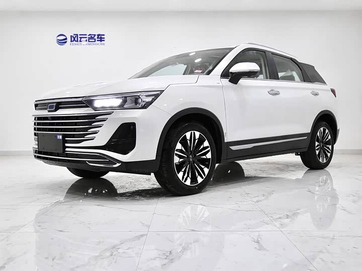 Фото 1 - Bestune T77