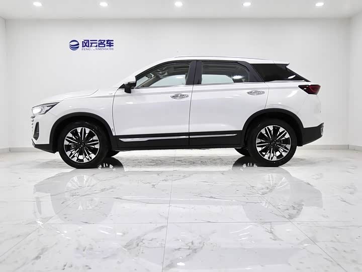 Фото 4 - Bestune T77