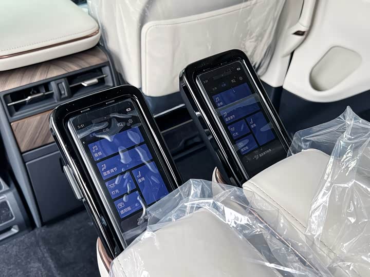 Фото 12 - Lexus LM