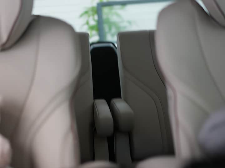 Фото 17 - Lexus LM