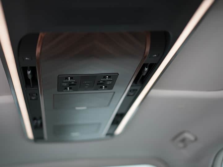 Фото 18 - Lexus LM