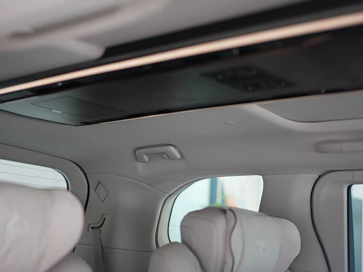 Фото 19 - Lexus LM