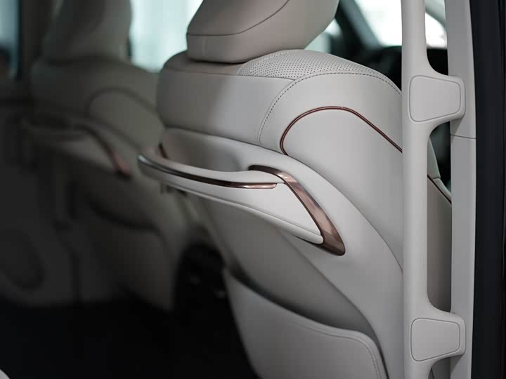 Фото 24 - Lexus LM