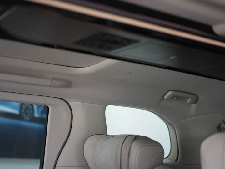 Фото 28 - Lexus LM