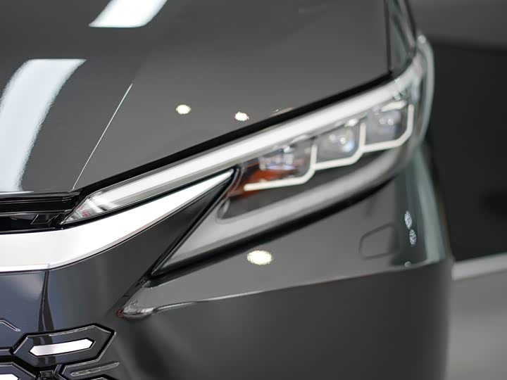 Фото 30 - Lexus LM