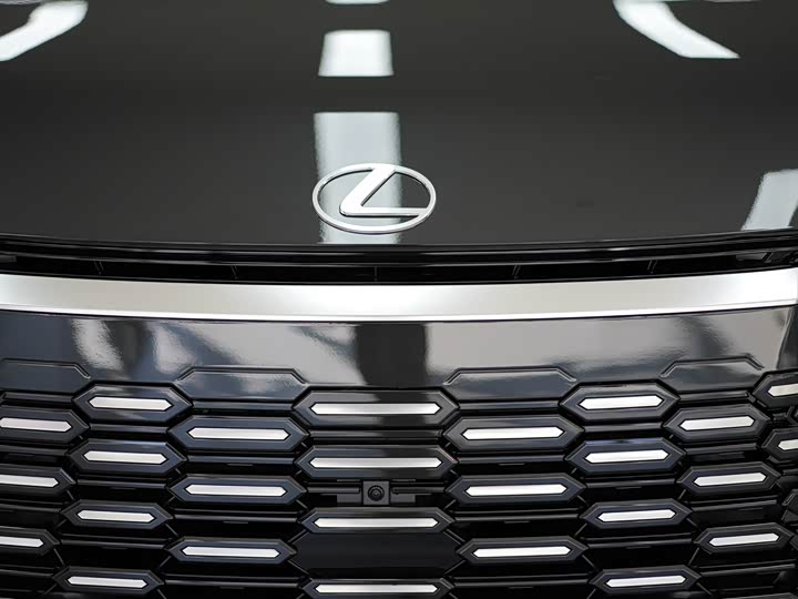 Фото 31 - Lexus LM