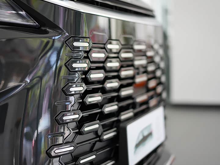 Фото 32 - Lexus LM