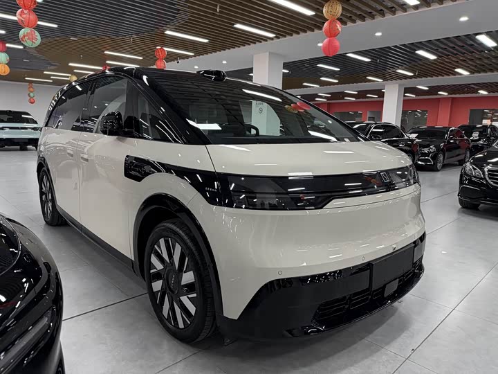 Фото 3 - Zeekr Mix