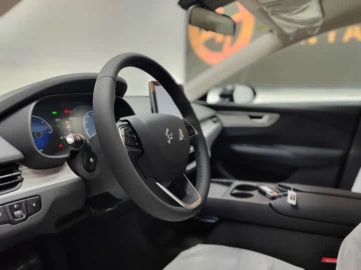 Фото 4 - Hongqi E-QM5