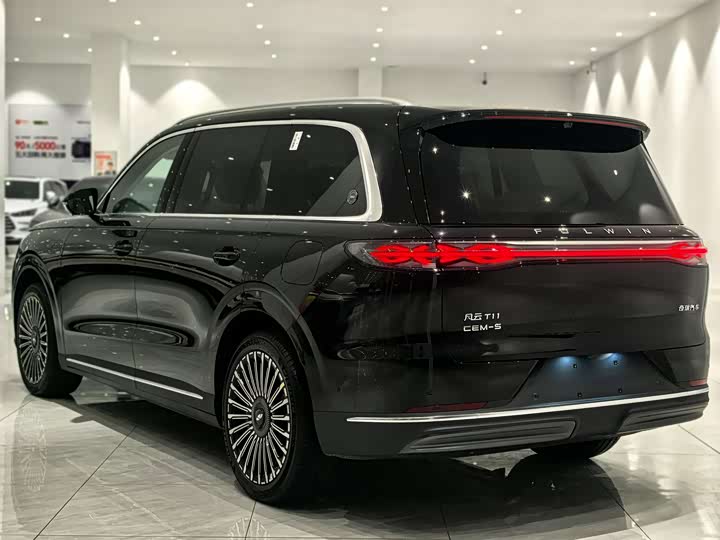 Фото 6 - Chery Fulwin T11