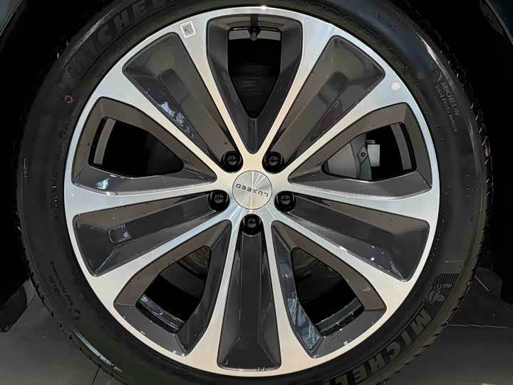 Фото 20 - Luxeed S7