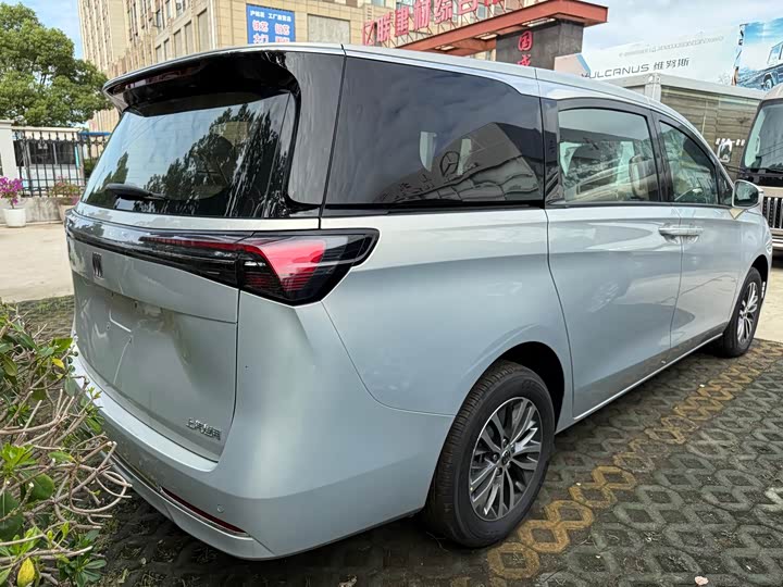 Фото 11 - Buick GL8 ES