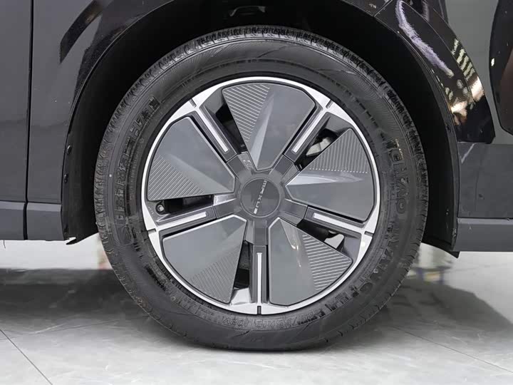 Фото 4 - Maxus Mifa 7