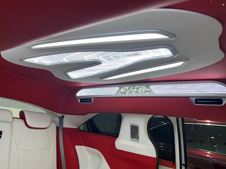 Фото 19 - Toyota Sienna