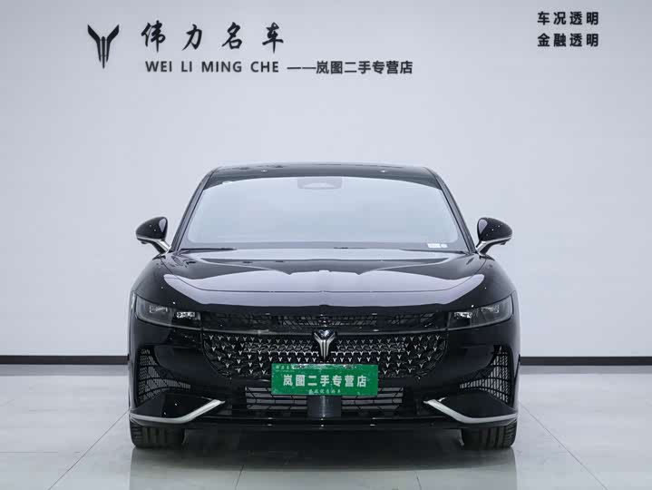 Фото 2 - Voyah Passion