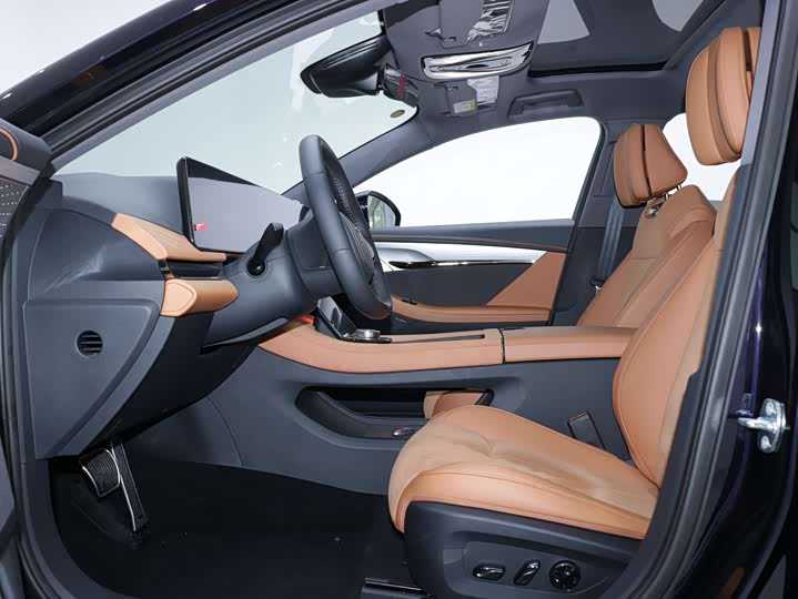 Фото 4 - Voyah Passion