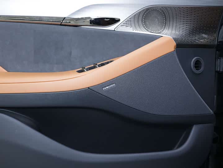 Фото 7 - Voyah Passion