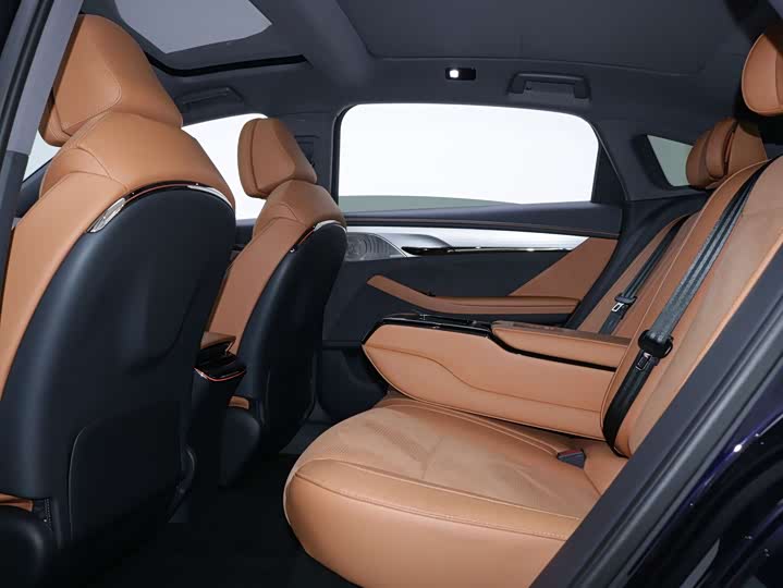 Фото 9 - Voyah Passion