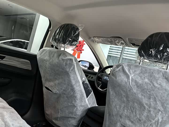 Фото 7 - Hongqi E-QM5