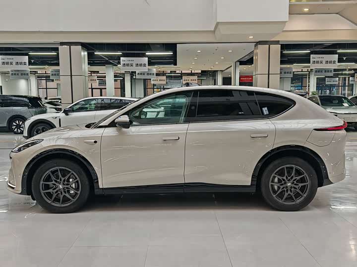 Photo 4 - IM motors LS7