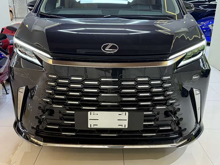 Фото 3 - Lexus LM