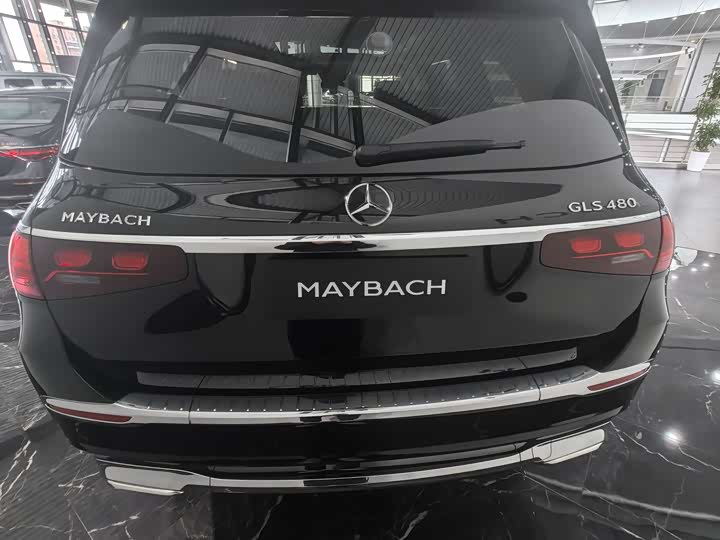 Фото 8 - Mercedes-Benz Maybach GLS