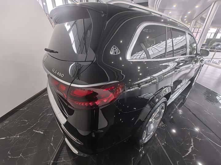 Фото 9 - Mercedes-Benz Maybach GLS