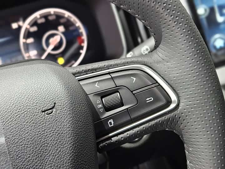 Фото 9 - Hongqi HS7