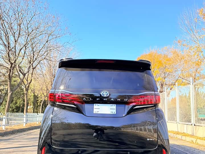 Фото 13 - Toyota Alphard