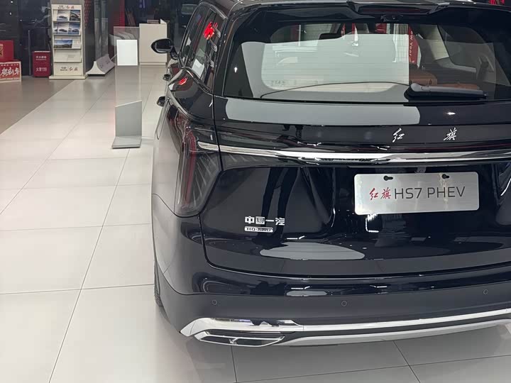 Фото 6 - Hongqi HS7 Hybrid
