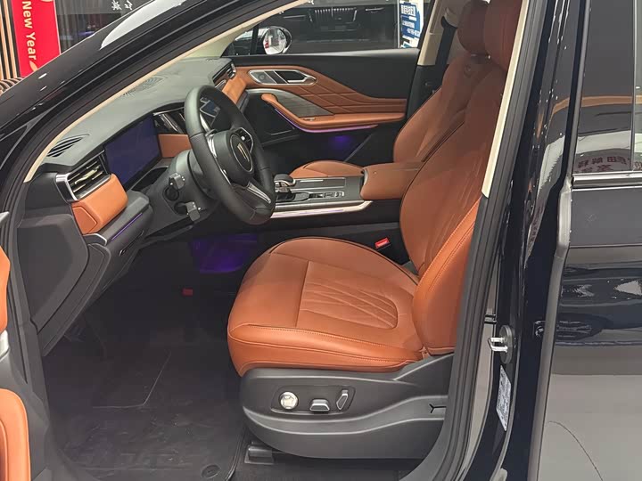 Фото 9 - Hongqi HS7 Hybrid